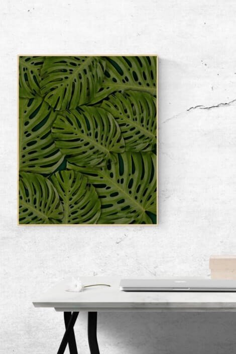 Biel i zieleń w domu