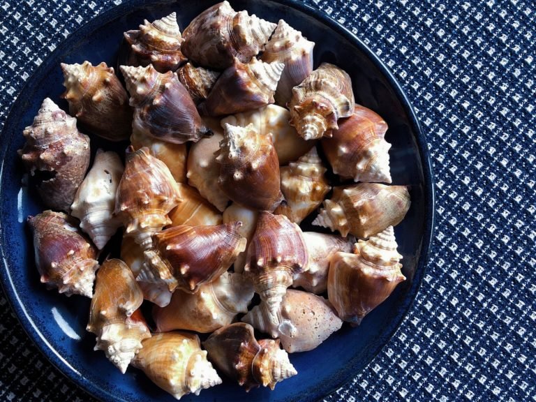 wakacyjne dekoracje w domu