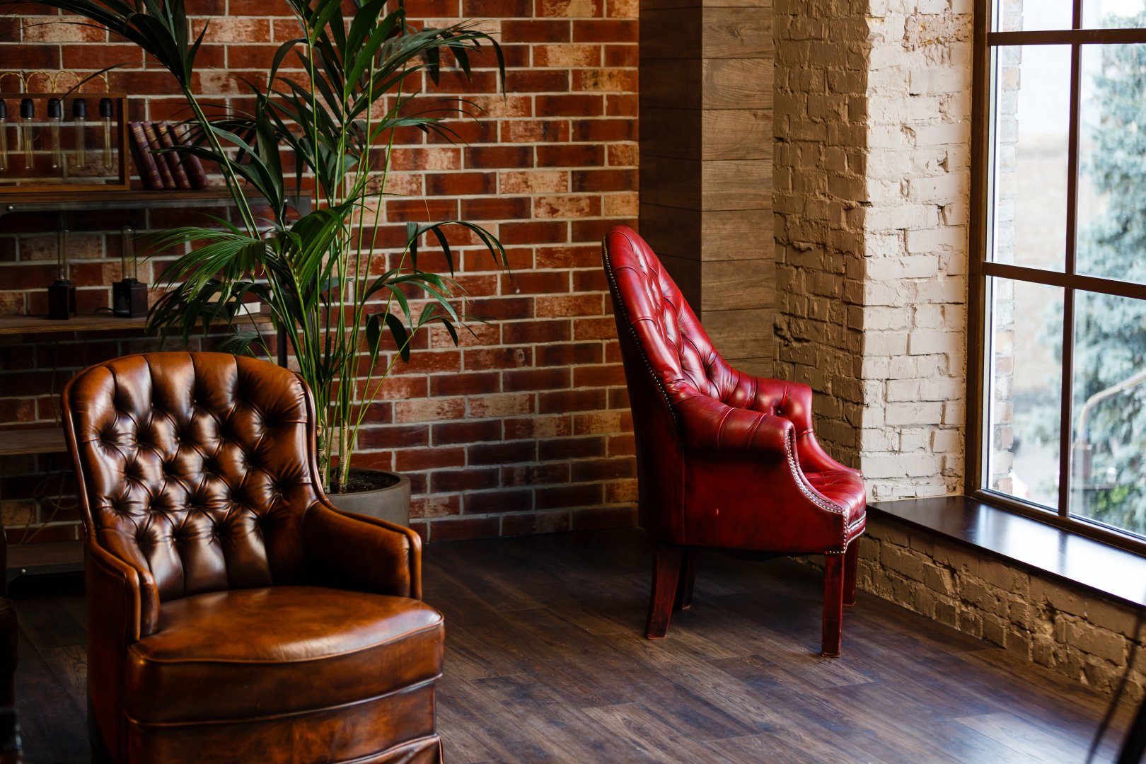 rośliny we wnętrzach