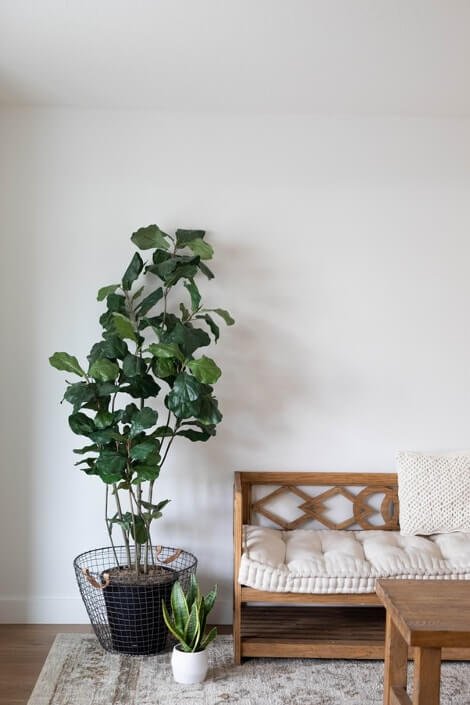 Wysokie rośliny w domu skandynawskim